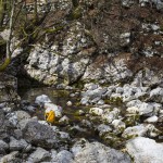 Wasserfall, Nationalpark Triglav, Slowenien, Foto Anita Arneitz