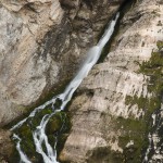 Savica