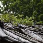Lost place, Schindeldach