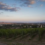 Ausblick Wilhelminenberg Wien mit dem Rad entdecke