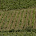 Toskana Italien