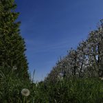 Italien Rauch-Krainer
