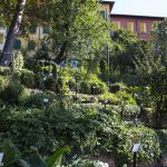 Botanischer Garten Triest , Italien, www.anitaaufreisen.at