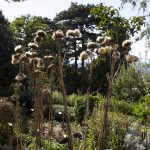 Botanischer Garten Triest , Italien, www.anitaaufreisen.at