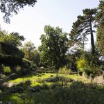 Botanischer Garten Triest , Italien, www.anitaaufreisen.at