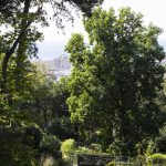 Botanischer Garten Triest , Italien, www.anitaaufreisen.at