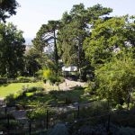 Botanischer Garten Triest , Italien, www.anitaaufreisen.at