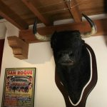 Plaza de Toros_Stierkampfarena mit Museum, San Roque, Andalusien, www.anitaaufreisen.at