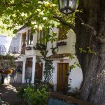 Maria Angela Zacchigna, Privatgarten, Triest, Italien, www.anitaaufreisen.at