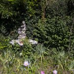 Maria Angela Zacchigna, Privatgarten, Triest, Italien, www.anitaaufreisen.at