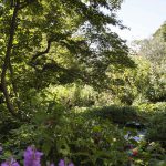 Maria Angela Zacchigna, Privatgarten, Triest, Italien, www.anitaaufreisen.at