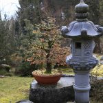 Bonsai-Garten, Bonsai-Museum Seeboden, Millstätter See, Foto Anita Arneitz & Matthias Eichinger, www.anitaaufreisen.at