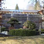 Bonsai-Garten, Bonsai-Museum Seeboden, Millstätter See, Foto Anita Arneitz & Matthias Eichinger, www.anitaaufreisen.at