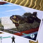 Froggyland Split, Froschmuseum, Kroatien, Foto www.anitaaufreisen.at
