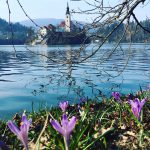 Bled, Slowenien, www.anitaaufreisen.at