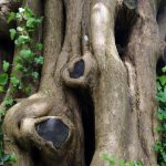 Greenway, Agatha Christie, England, www.anitaaufreisen.at