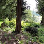 Greenway, Agatha Christie, England, www.anitaaufreisen.at