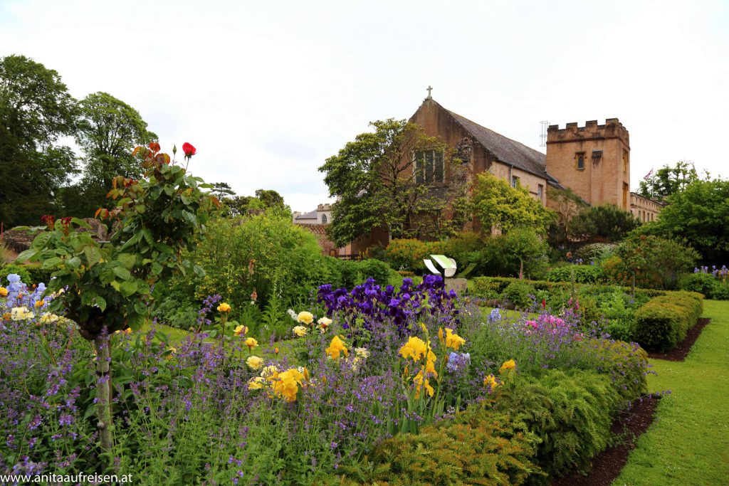 Torre Abbey, Torquay, Agatha Christies Giftpflanzen, England, www.anitaaufreisen.at