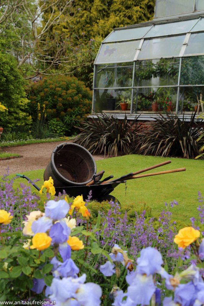 Torre Abbey, Torquay, Agatha Christies Giftpflanzen, England, www.anitaaufreisen.at