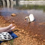 Radfahren im Rosental, Drauradweg, Ferlacher Stausee, Foto Matthias Eichinger