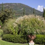 Giardino di Casa Biasi, Gärten am Gardasee, www.anitaaufreisen.at