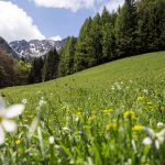 Wanderwege in Kärnten