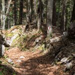 Narzissenwiese, Bärental, Kärnten, Österreich, www.anitaaufreisen.at