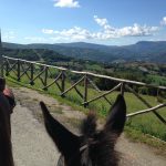 Reiturlaub in Italien, Toskana, Foto Karin Schafler, www.anitaaufreisen.at