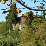 Reiturlaub in Italien, Toskana, Foto Karin Schafler, www.anitaaufreisen.at