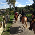 Reiturlaub in Italien, Toskana, Foto Karin Schafler, www.anitaaufreisen.at