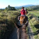 Reiturlaub in Italien, Toskana, Foto Karin Schafler, www.anitaaufreisen.at