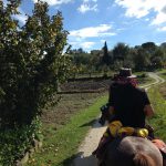 Reiturlaub in Italien, Toskana, Foto Karin Schafler, www.anitaaufreisen.at