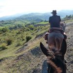 Reiturlaub in Italien, Toskana, Foto Karin Schafler, www.anitaaufreisen.at