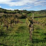 Reiturlaub in Italien, Toskana, Foto Karin Schafler, www.anitaaufreisen.at