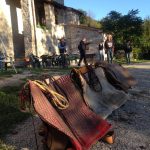 Reiturlaub in Italien, Toskana, Foto Karin Schafler, www.anitaaufreisen.at