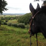 Reiturlaub in Italien, Toskana, Foto Karin Schafler, www.anitaaufreisen.at