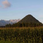 Wanderung, Kathreinkogel, Foto Matthias Eichinger, Schiefling, Kärnten, www.anitaaufreisen.at