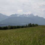 Wanderung, Kathreinkogel, Foto Matthias Eichinger, Schiefling, Kärnten, www.anitaaufreisen.at