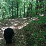 Wanderung, Kathreinkogel, Foto Matthias Eichinger, Schiefling, Kärnten, www.anitaaufreisen.at
