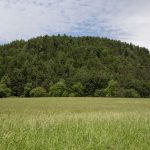 Wanderung, Kathreinkogel, Foto Matthias Eichinger, Schiefling, Kärnten, www.anitaaufreisen.at