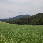 Wanderung, Kathreinkogel, Foto Matthias Eichinger, Schiefling, Kärnten, www.anitaaufreisen.at