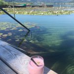 Yoga am Keutschacher See, Heidi Allesch, Café Sunseitn, Foto Anita Arneitz