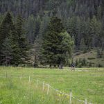 Radweg bei den Drei Zinnen, Dolomiten, Südtirol, www.anitaaufreisen.at