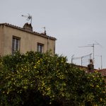 Ajaccio, Korsika, Foto Anita Arneitz, www.anitaaufreisen.at