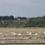 Wandern an der Adria