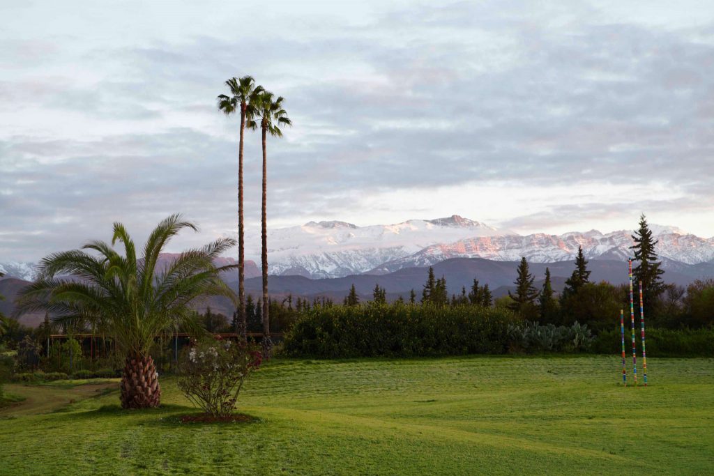 Anima Garden Andre Heller Uber Sein Gartenparadies In Marrakesch