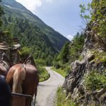 Gschlößtal, Innergschlöss, Osttirol. Österreich, Wandern, Nationalpark Hohe Tauern, Foto Anita Arneitz, Reiseblog www.anitaaufreisen.at