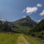 Gschlößtal, Innergschlöss, Osttirol. Österreich, Wandern, Nationalpark Hohe Tauern, Foto Anita Arneitz, Reiseblog www.anitaaufreisen.at