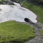 Gschlößtal, Innergschlöss, Osttirol. Österreich, Wandern, Nationalpark Hohe Tauern, Foto Anita Arneitz, Reiseblog www.anitaaufreisen.at