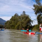 Draupaddelweg, Paddeln auf der Drau, Kärnten, SUP, Kanu, Kajak, Foto Anita Arneitz, Reiseblog www.anitaaufreisen.at